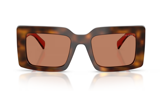 Prada D01S-01K90Q - Juniper Tortoise with Cotto/Brown