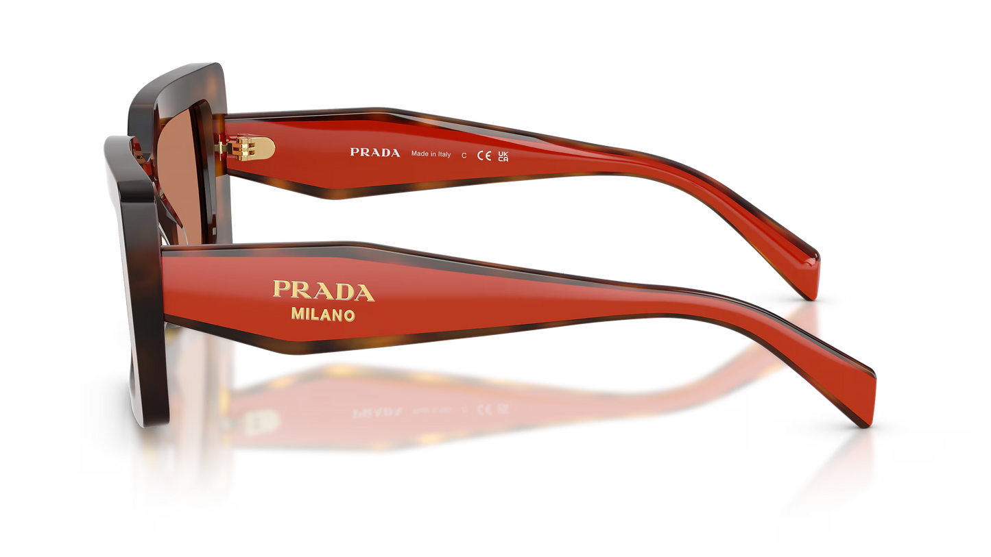 Prada D01S-01K90Q - Juniper Tortoise with Cotto/Brown