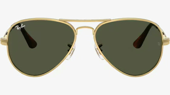 Ray-Ban Polarized Aviator RB3025-919648 - Gold/Green Classic G15