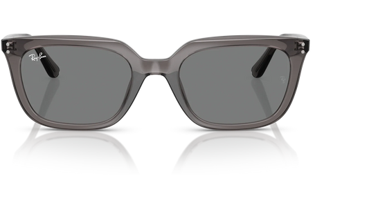 Ray-Ban RB4439D-667587 - Grey/Grey